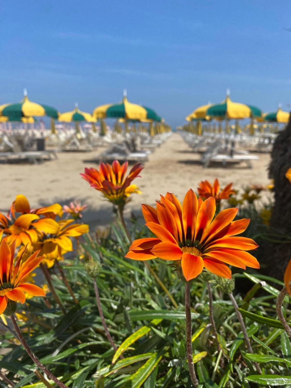 Rimini Bay Suites&Residence Eksteriør bilde