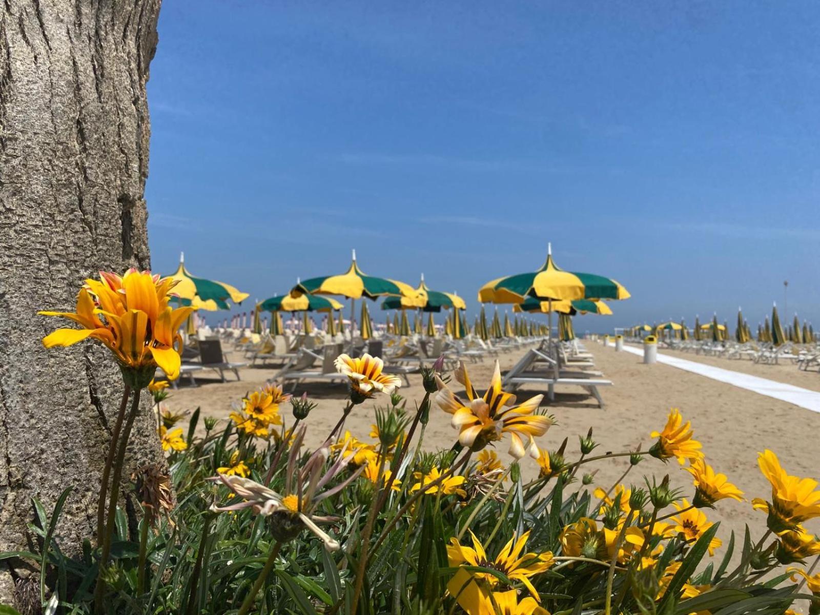 Rimini Bay Suites&Residence Eksteriør bilde